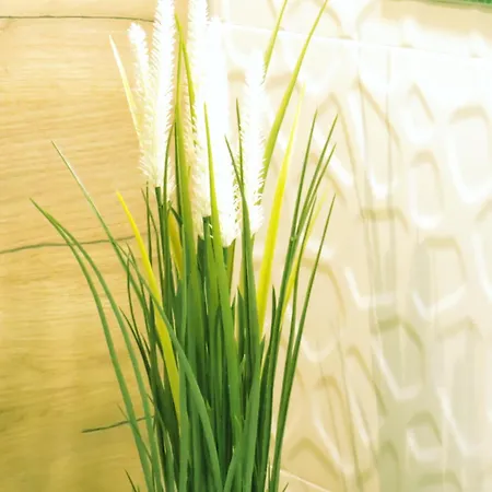 Polonia Residences 68- Locations -off Piotrkowska Street -theatres -museums -fabryczna Railway Station 3mins Łódź